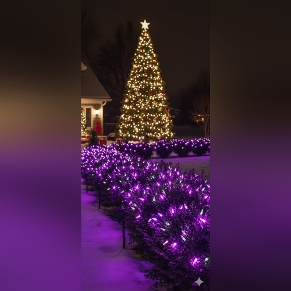 Christmas Lights, 50-Count Black Wire Light Set, Battery Operated Lights (EUC) - Picture 1 of 6